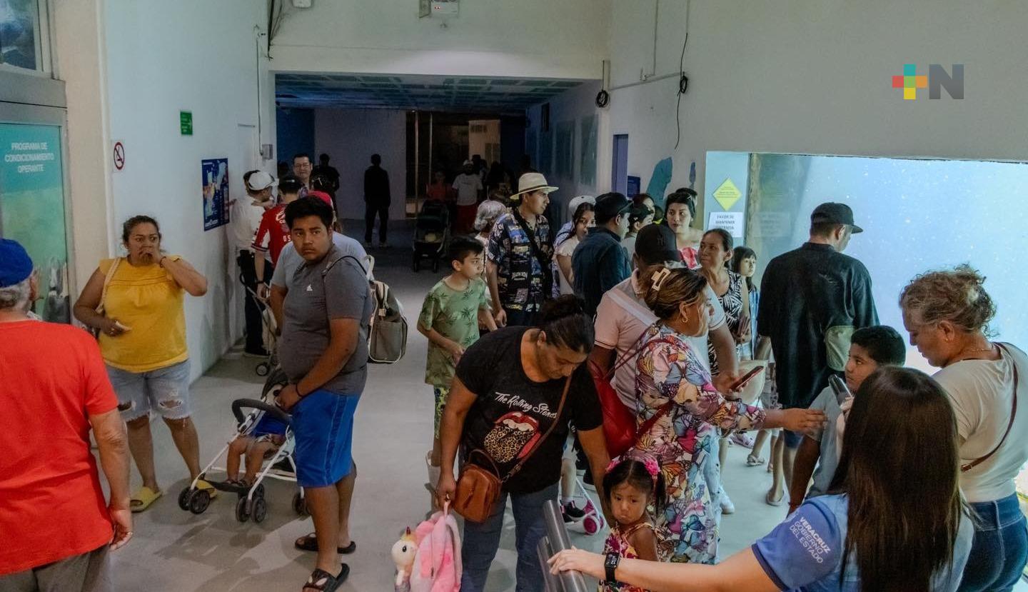 Aquarium de Veracruz recibió 20 mil visitas diarias durante vacaciones de Semana Santa