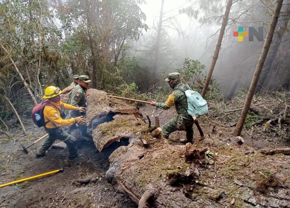 Liquidado el complejo de incendios en las Altas Montañas