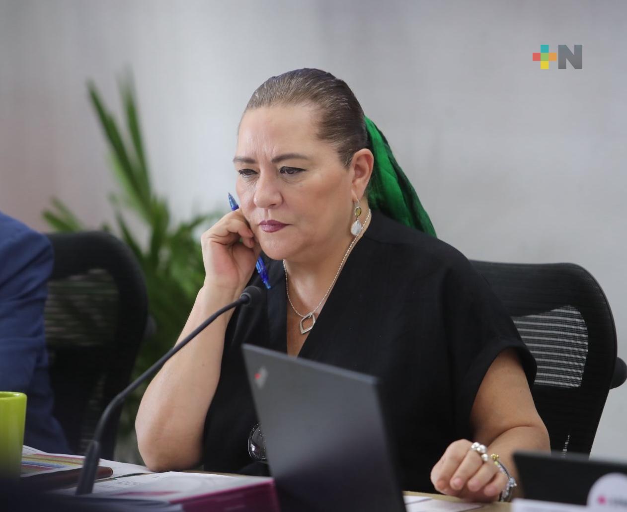 Sistema Nacional de Elecciones, sinónimo de eficiencia y eficacia: Guadalupe Taddei