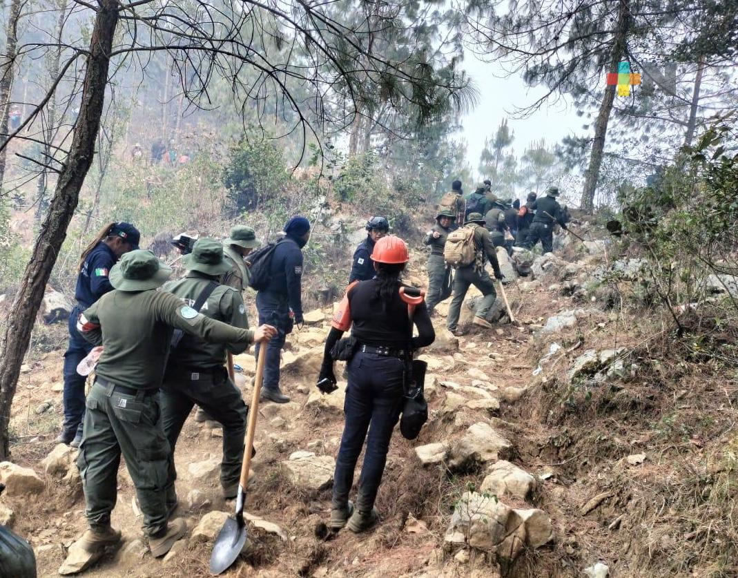 Se mantiene la atención coordinada al incendio forestal de Atlahuilco