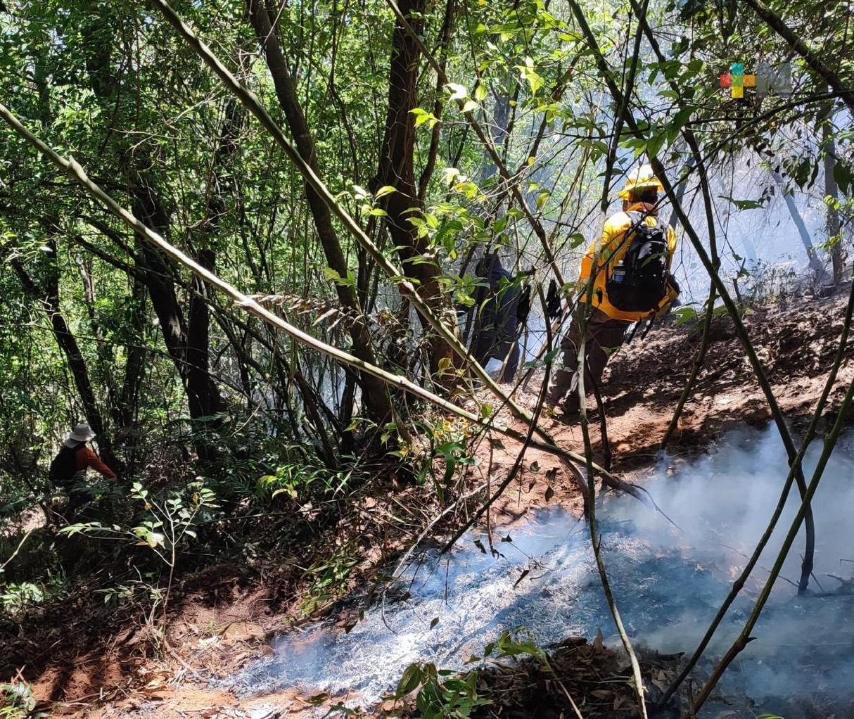 Incendio forestal en Río Blanco con 60% de control y 40% de liquidación