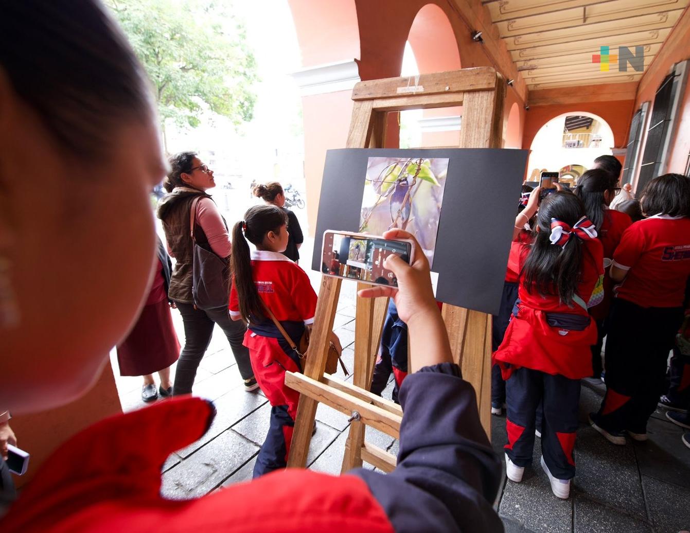 Convocan a concurso de dibujo infantil en Festival de las Altas Montañas