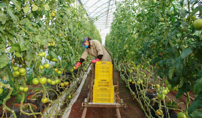 Avanzan México y Estados Unidos en fortalecimiento de la inocuidad alimentaria