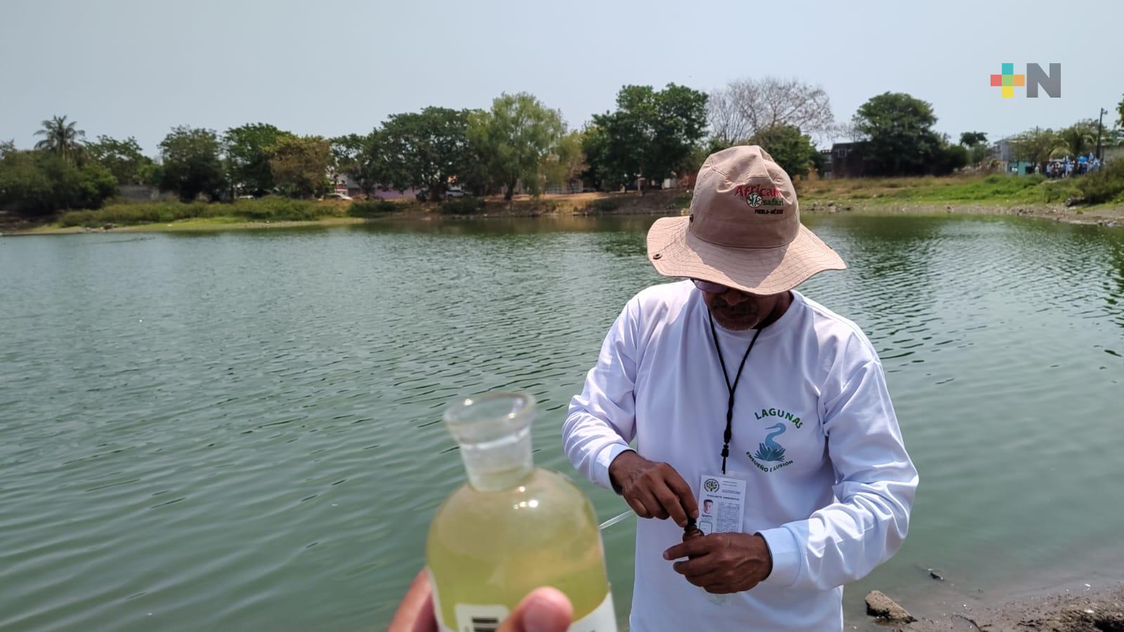 Analizarán calidad del agua de lagunas Ensueño y Encanto