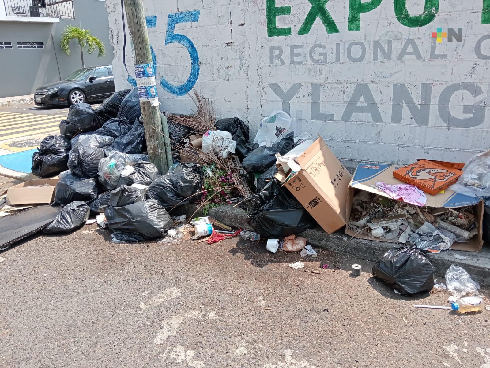 Basura es un problema constante en fraccionamiento Jardines de Boca del Río