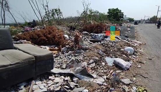 Hasta animales muertos tiran en terreno baldío, piden se atienda problemática en Veracruz puerto