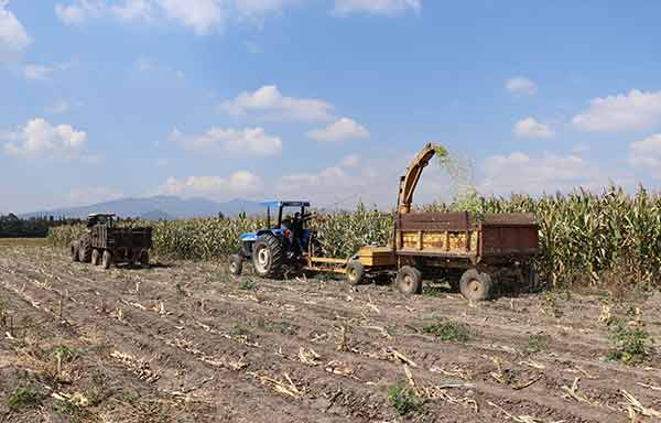 Cambio climático y sequía, desafíos para la sobrevivencia de la humanidad