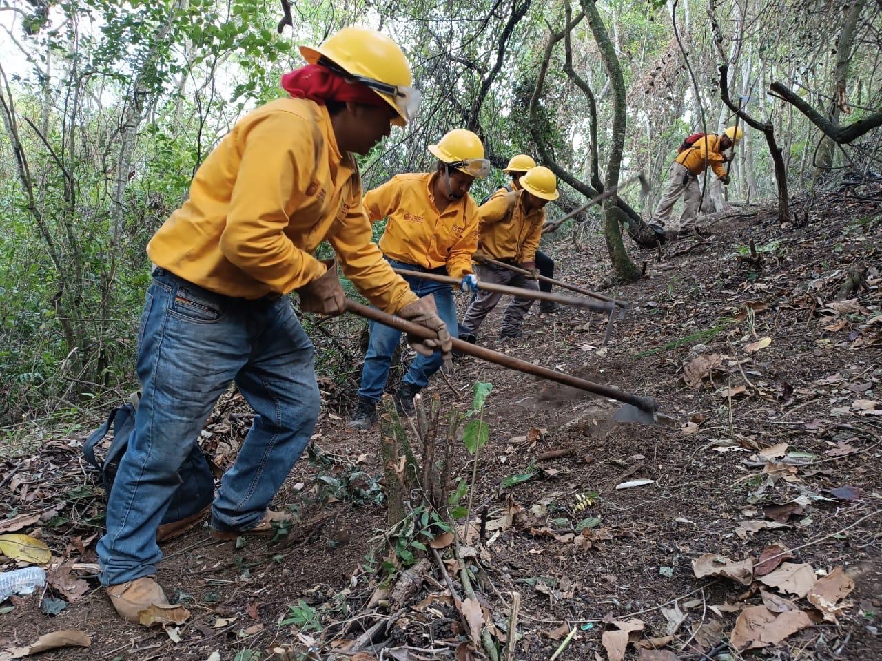 Reportan 90% de control en incendio de Río Blanco