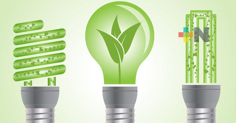 Llaman en el Senado a impulsar proyectos y desarrollo de “energía azul”