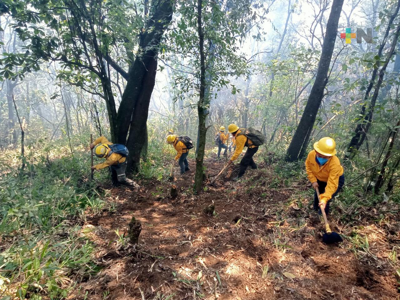 Reporta Conafor dos incendios forestales activos y uno liquidado en Veracruz