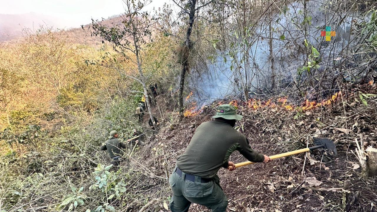 Dos incendios forestales liquidados y tres activos en el estado de Veracruz: Conafor