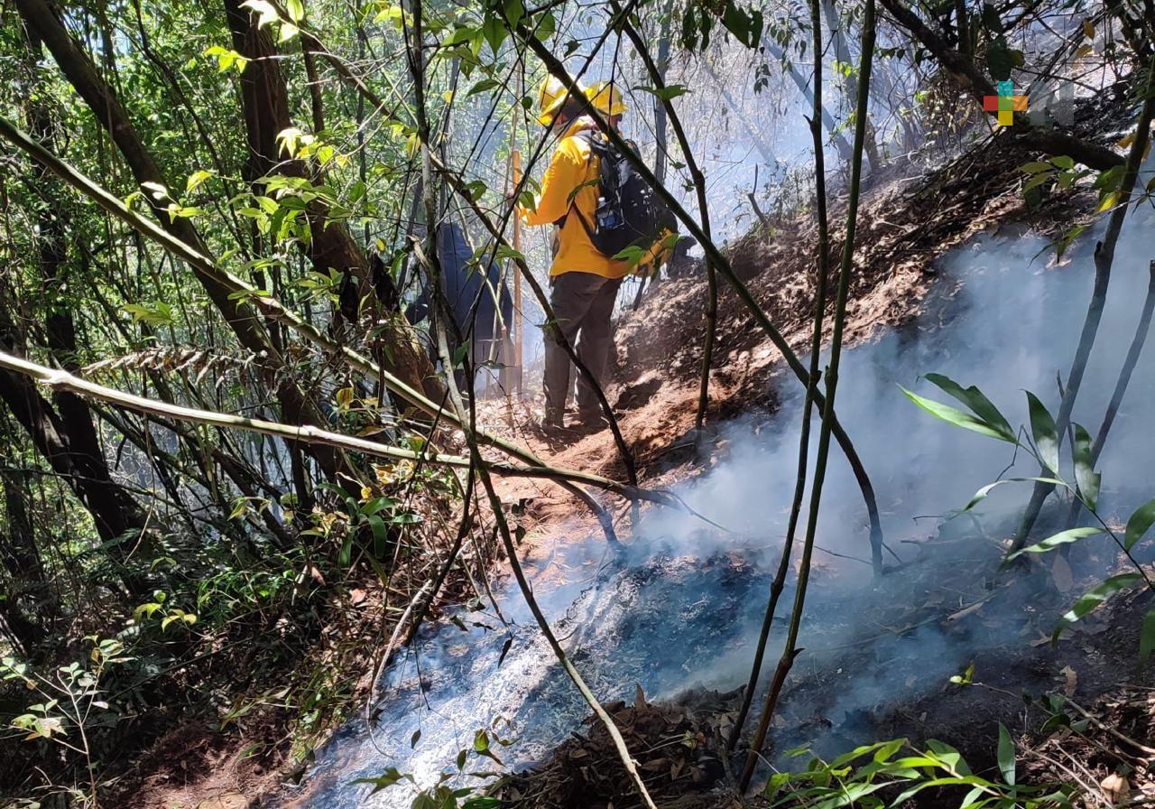 Un incendio forestal liquidado y cuatro activos en Veracruz, reporta Conafor