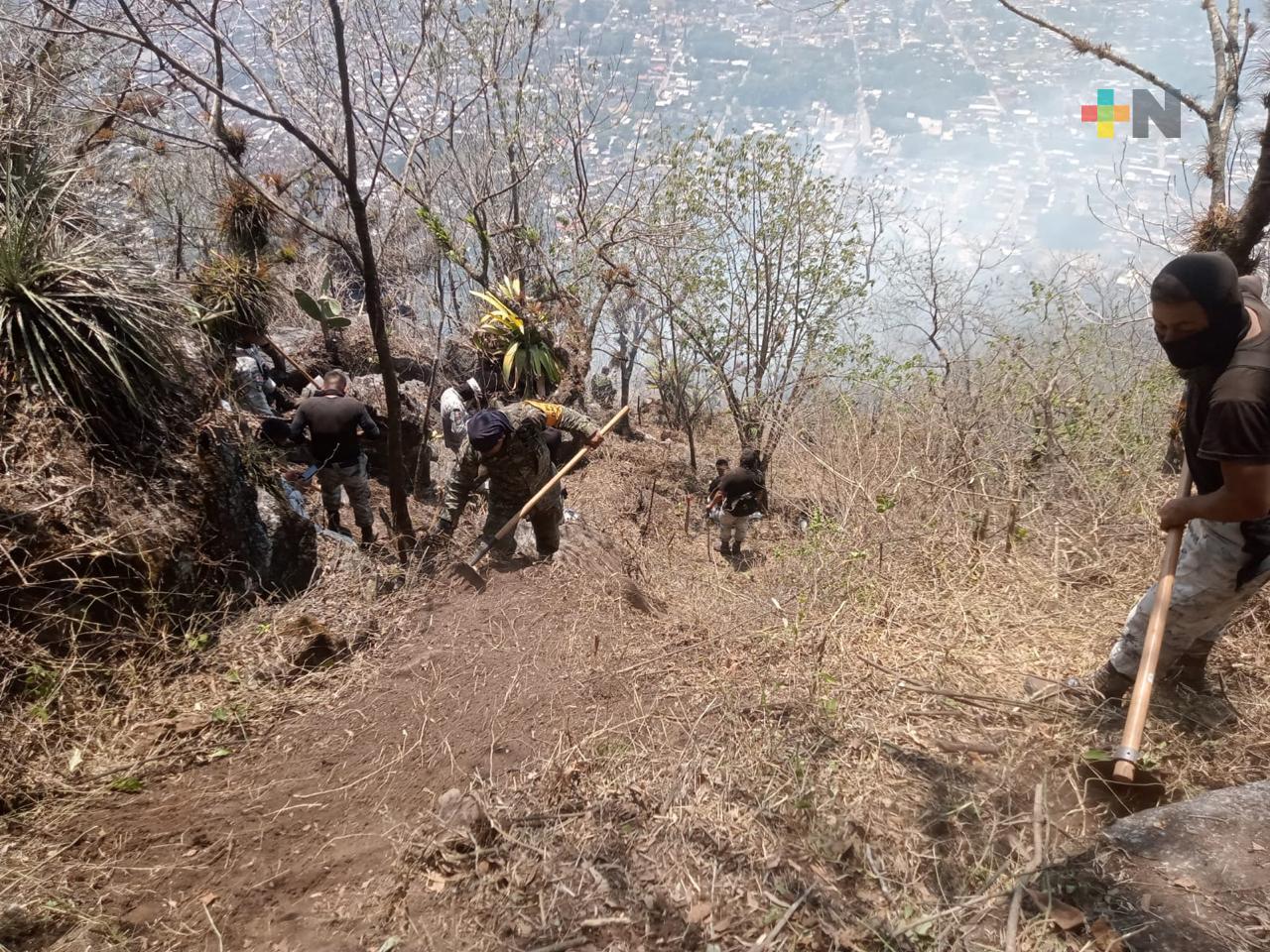 Reporta Conafor tres incendios forestales en zona montañosa central de Veracruz