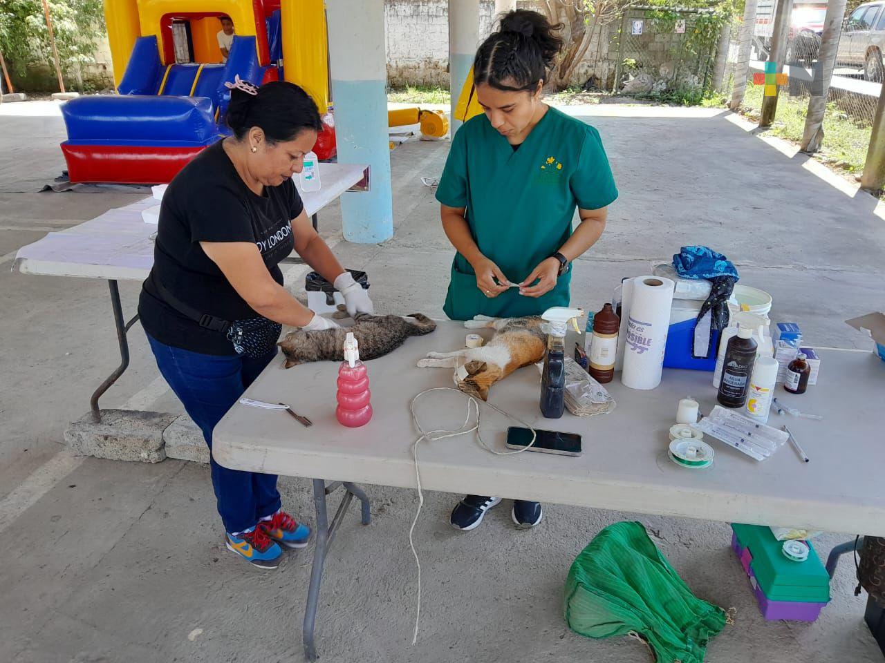 Con éxito realizan jornadas de salud animal en comunidades de Misantla