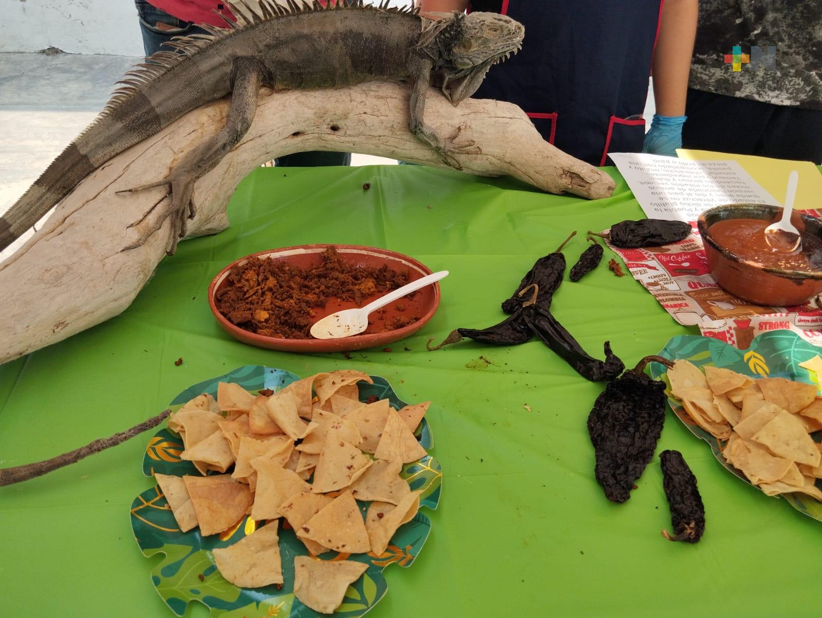 Realizan una muestra gastronómica prehispánica en Veracruz puerto