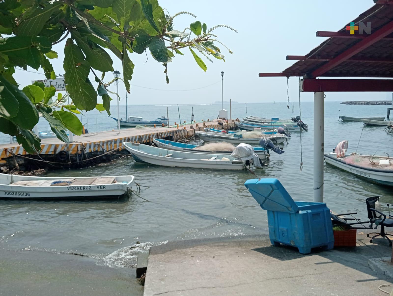 Roban figura de San Sebastián, santo patrono de pescadores del puerto de Veracruz