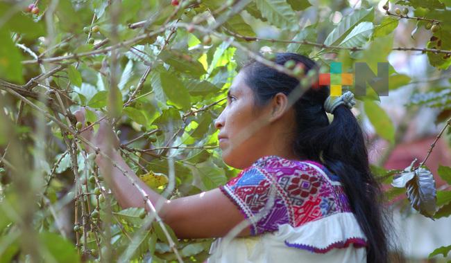 Rinde Agricultura homenaje a “Mujeres rurales” en la Ciudad de México