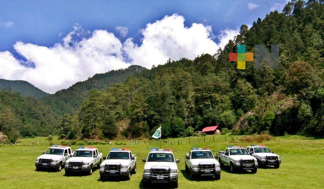 Ángeles Verdes auxilió a más de 12 mil turistas durante la Semana Santa 2024