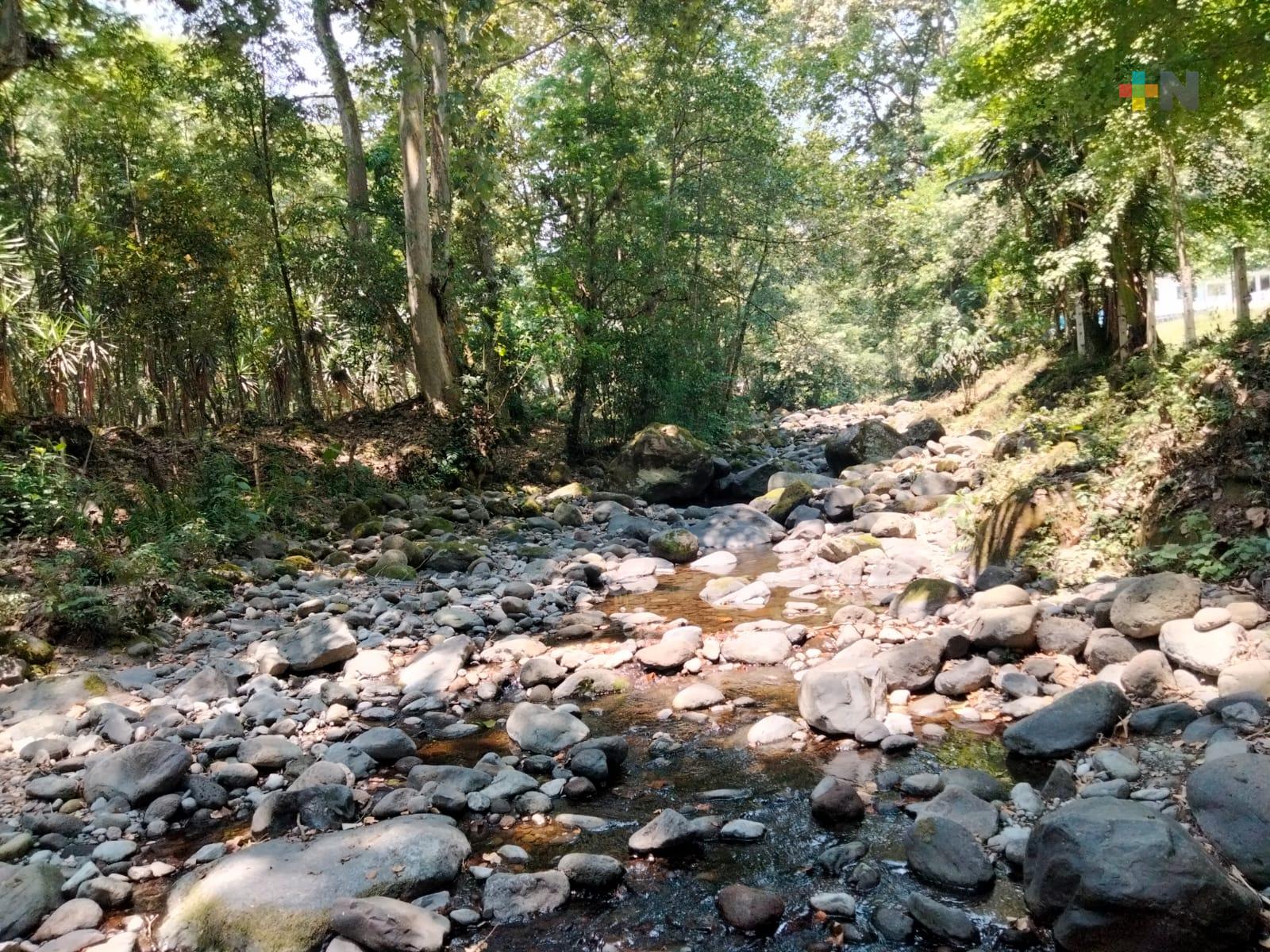 Río Pixquiac surte de agua a casi la mitad de Xalapa, su caudal ha ido disminuyendo