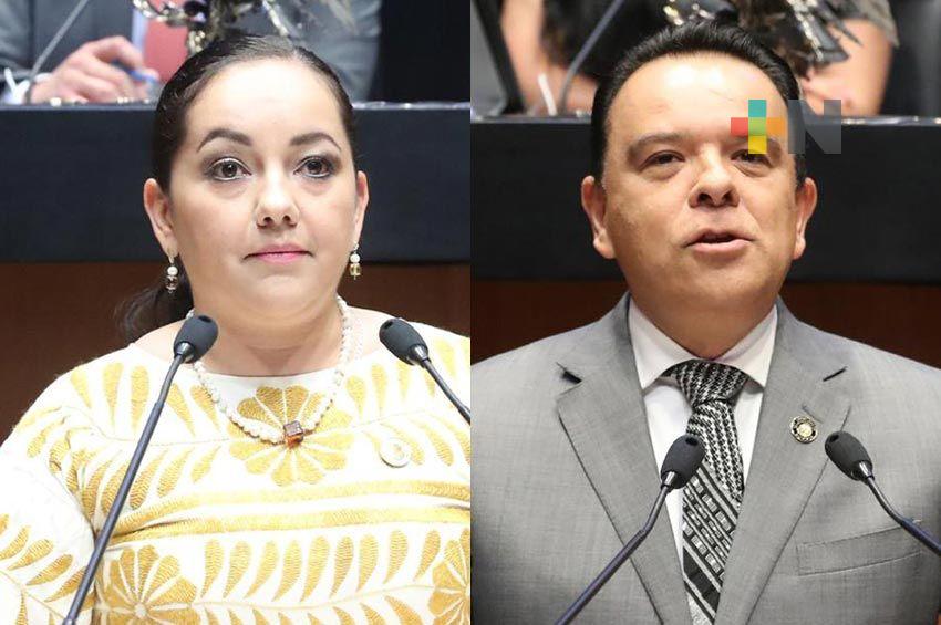 Morena defiende soberanía eléctrica que la oposición abandonó por décadas: Diputada