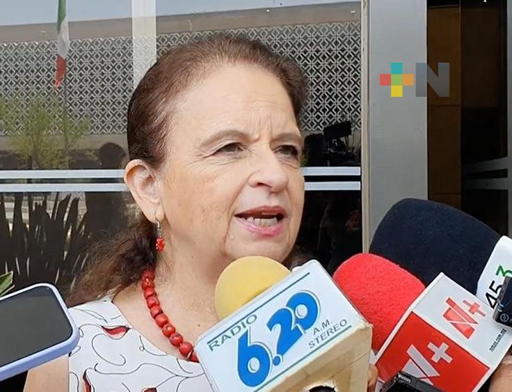 Destaca diputada que comisión sigue en la “lógica de ampliar siempre beneficios de la seguridad social”