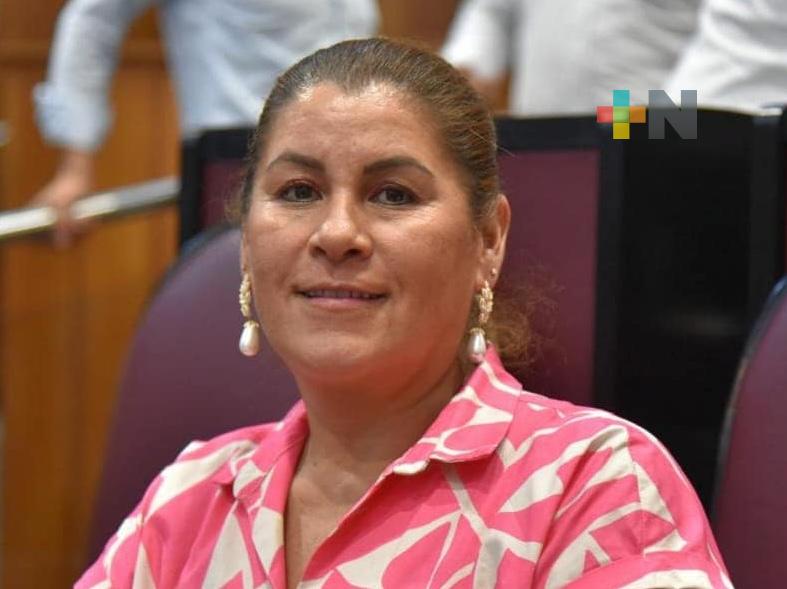 Incendios forestales, llaman a redoblar acciones por el medio ambiente: Diputada