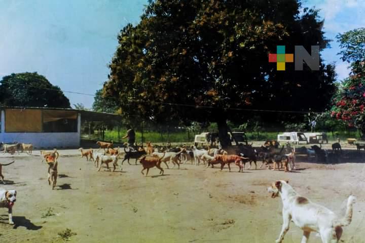 Denuncia violación a derecho de paso, vecino impide alimentar a 300 animales