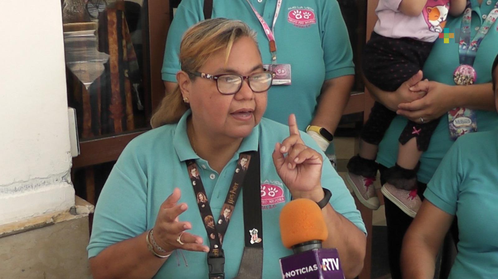 ONG denuncia malas condiciones de Centro de Salud Animal de Veracruz puerto