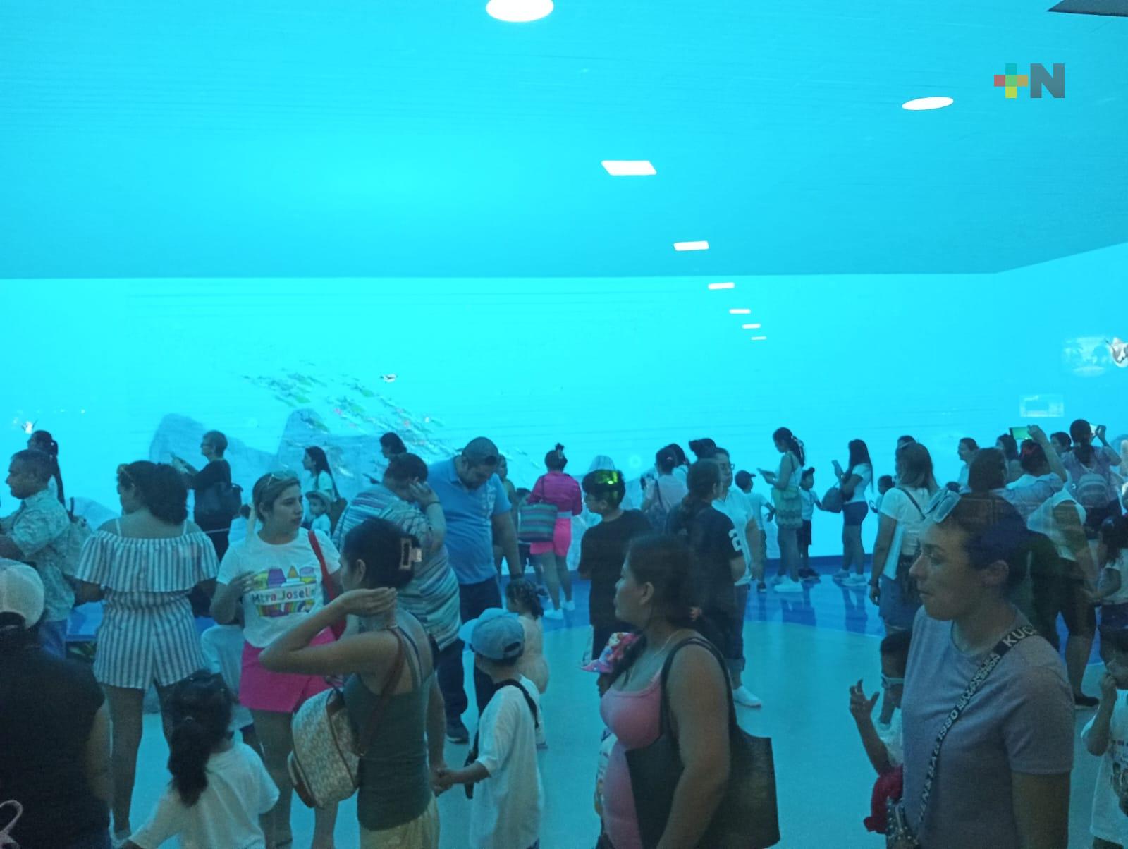 Aquarium de Veracruz recibe visitantes este martes de manera gratuita