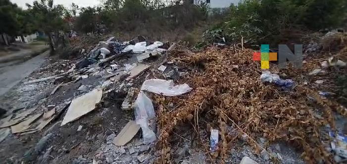 Terreno en colonia de Veracruz puerto se convierte en foco de infección