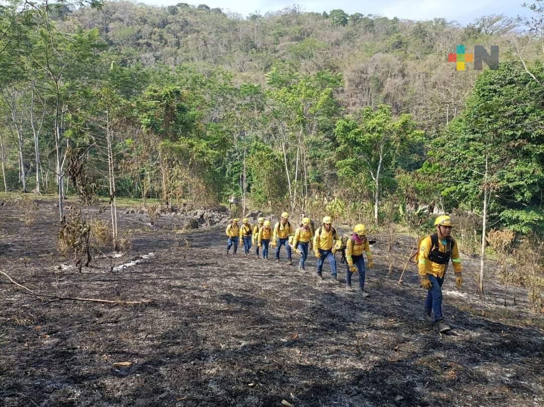 Brigadas combaten incendio en Uxpanapa