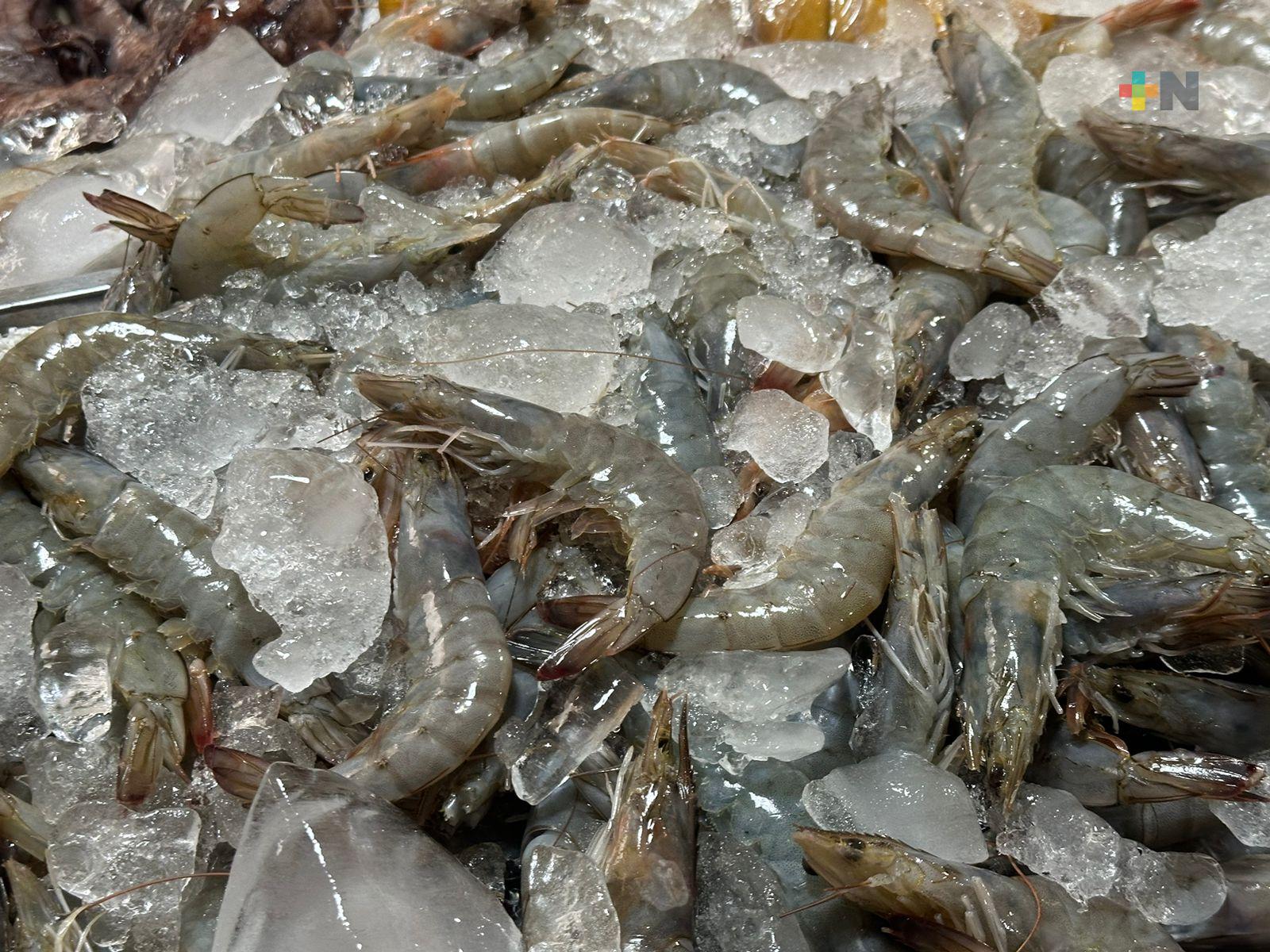 Venta de mariscos baja por precio y costo de preservación; requiere de hielo