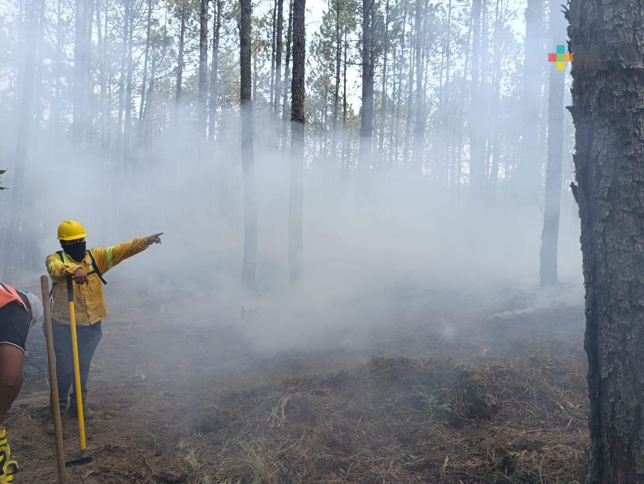 Veracruz con 172 incendios forestales y más de 9 mil hectáreas afectadas al 20 de junio