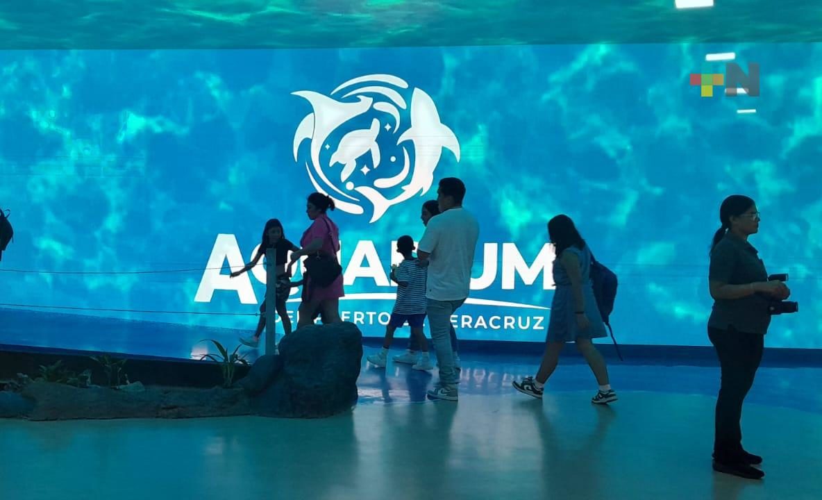Estudiantes de escuela de Minatitlán visitan Aquarium del Puerto de Veracruz