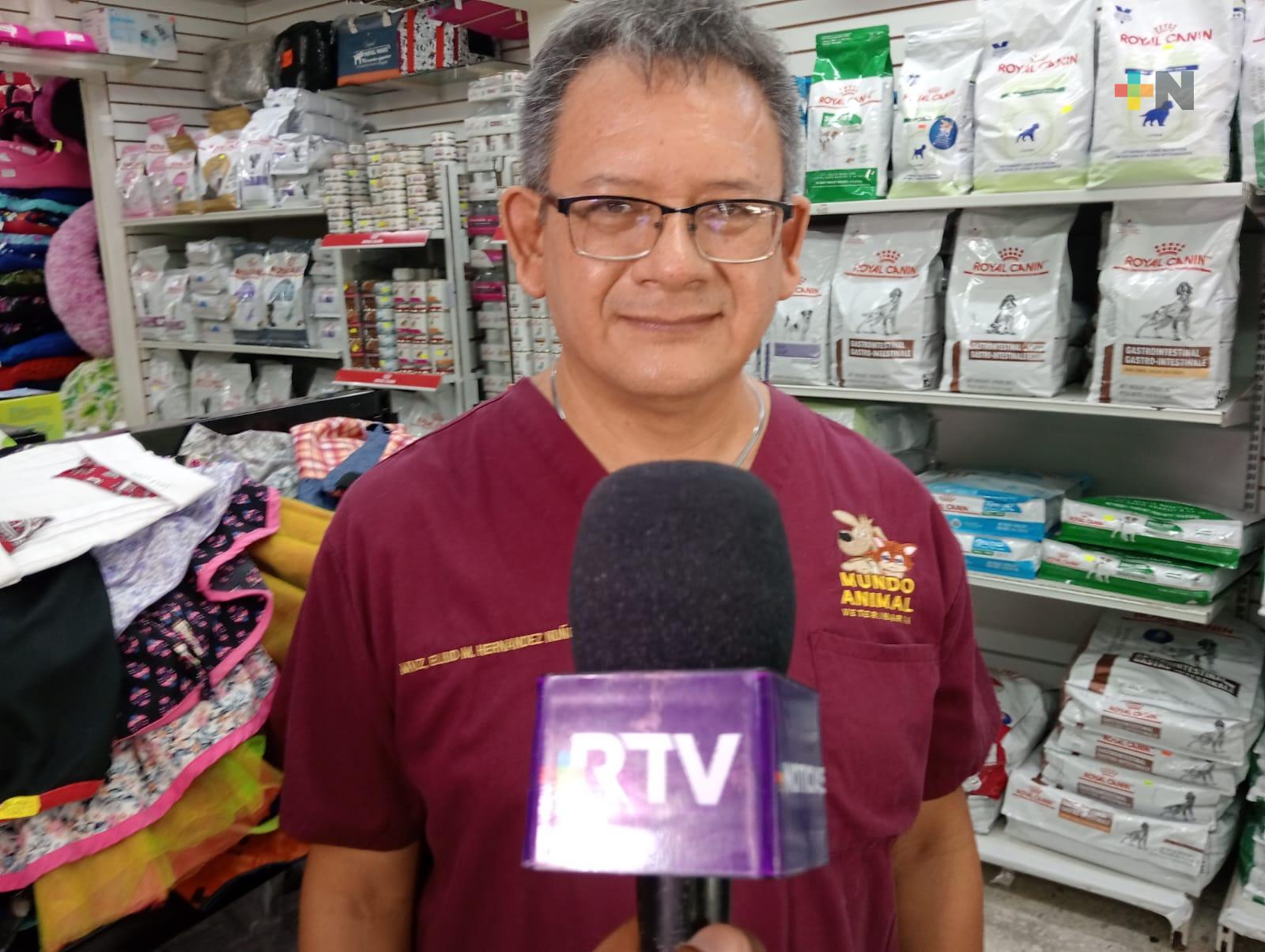 Mascotas requieren cuidados especiales en la ola de calor