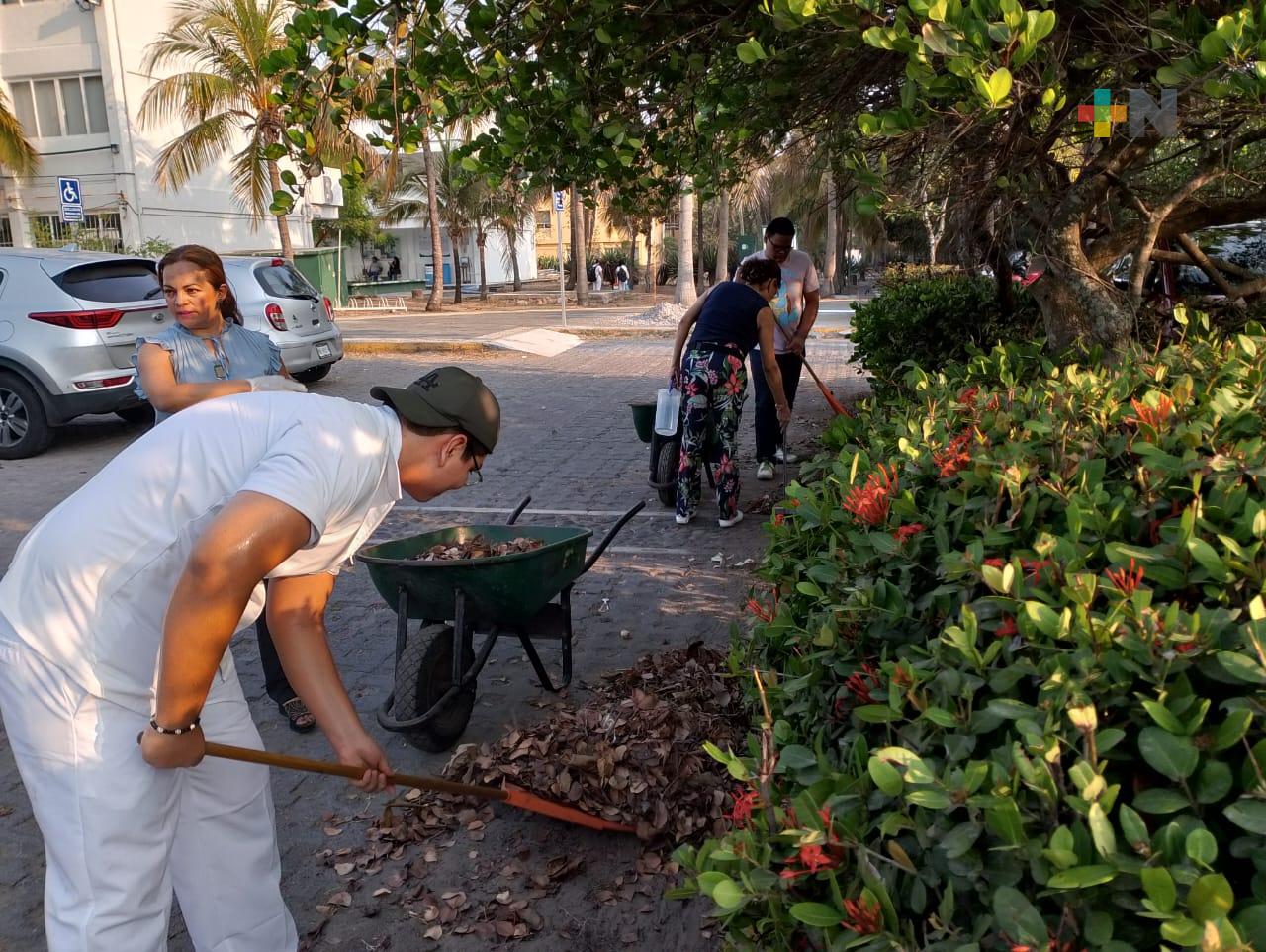 Estudiantes de la UV realizan acciones para cuidar el medio ambiente