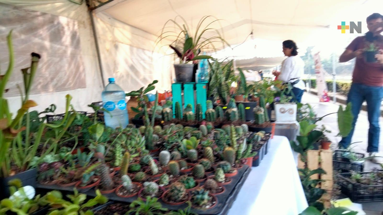 Expo Flor y Miel en paseo de los Lagos en Xalapa