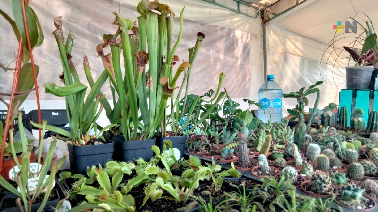 ¿Usted tendría plantas carnívoras en su casa?