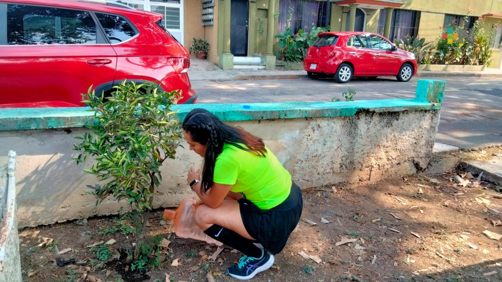 Habitantes de Xalapa se organizan para regar árboles