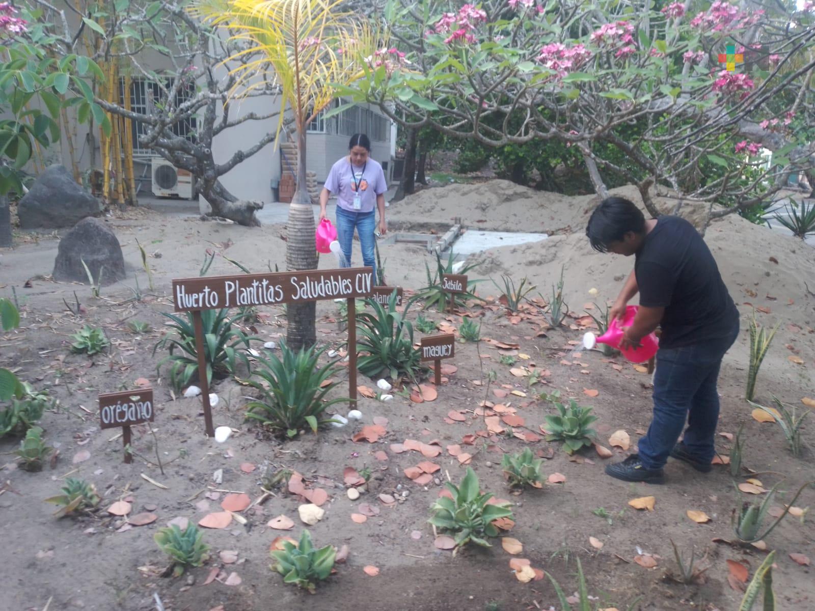 «Huerto Plantitas Saludables» promueve  la conexión de los estudiantes con la naturaleza
