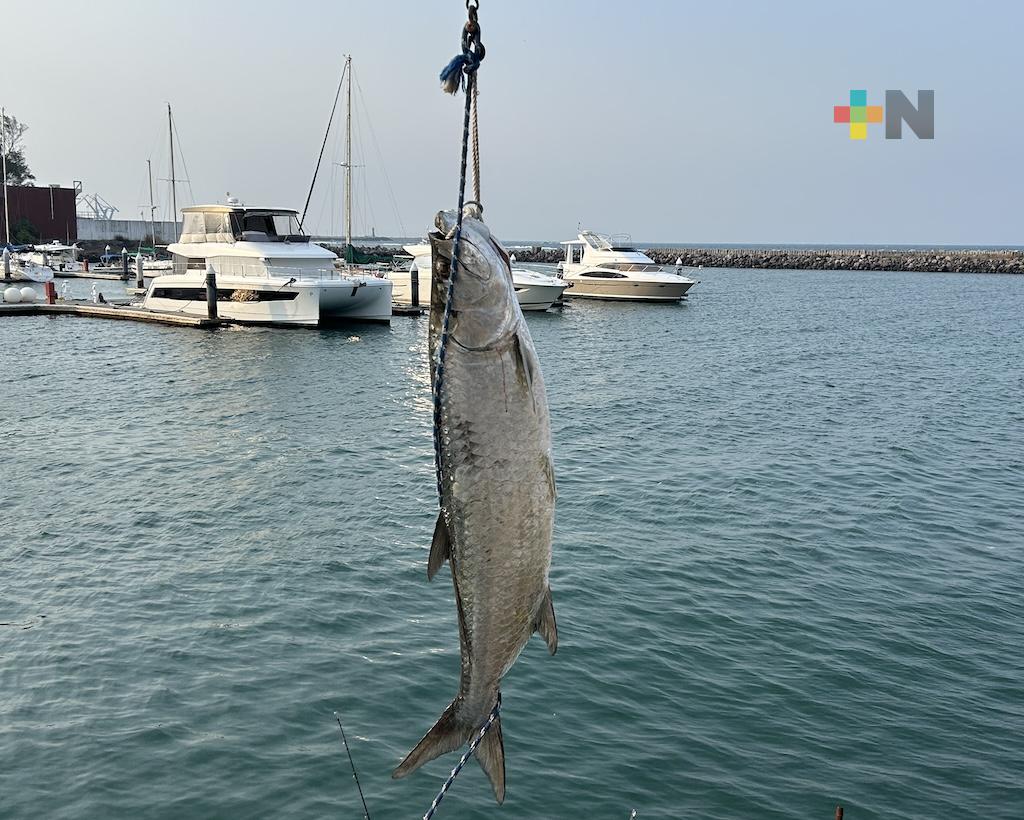 Encabezan cuatro liberaciones el Torneo Internacional del Sábalo de Plata 2024