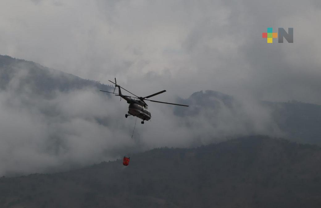 El 90% de incendios forestales se deben a descuidos humanos