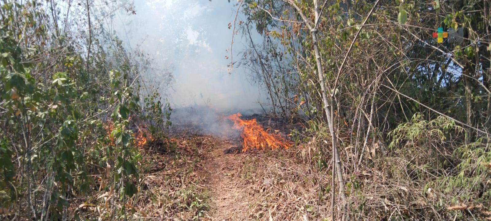 Incendios activos en las altas mañanas