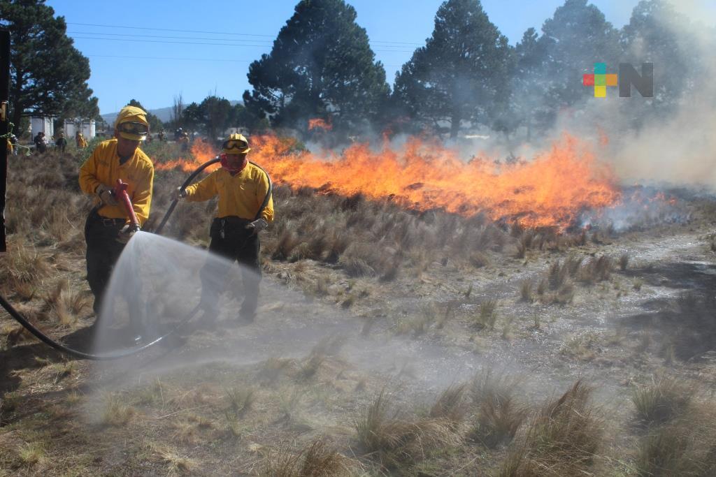 Veracruz con 111 incendios forestales y seis mil 605 hectáreas afectadas