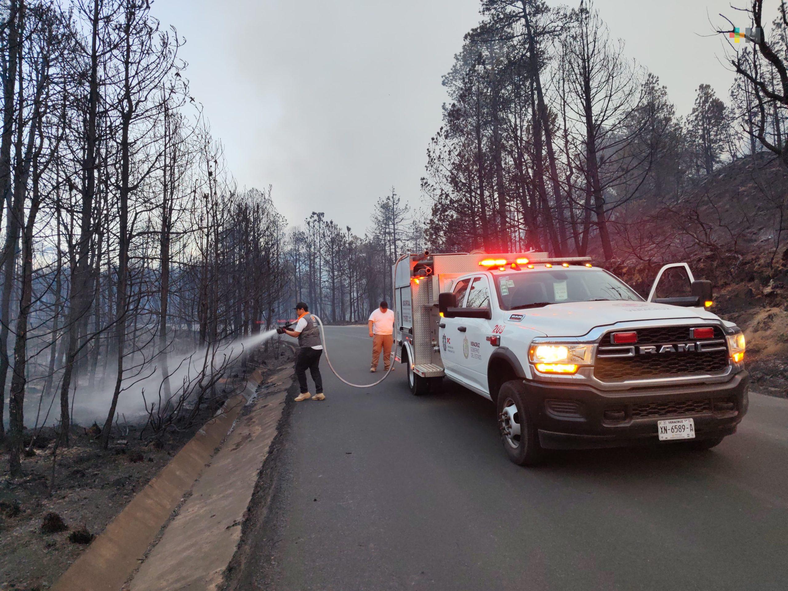 Tras incendios vendrán trabajos de reforestación