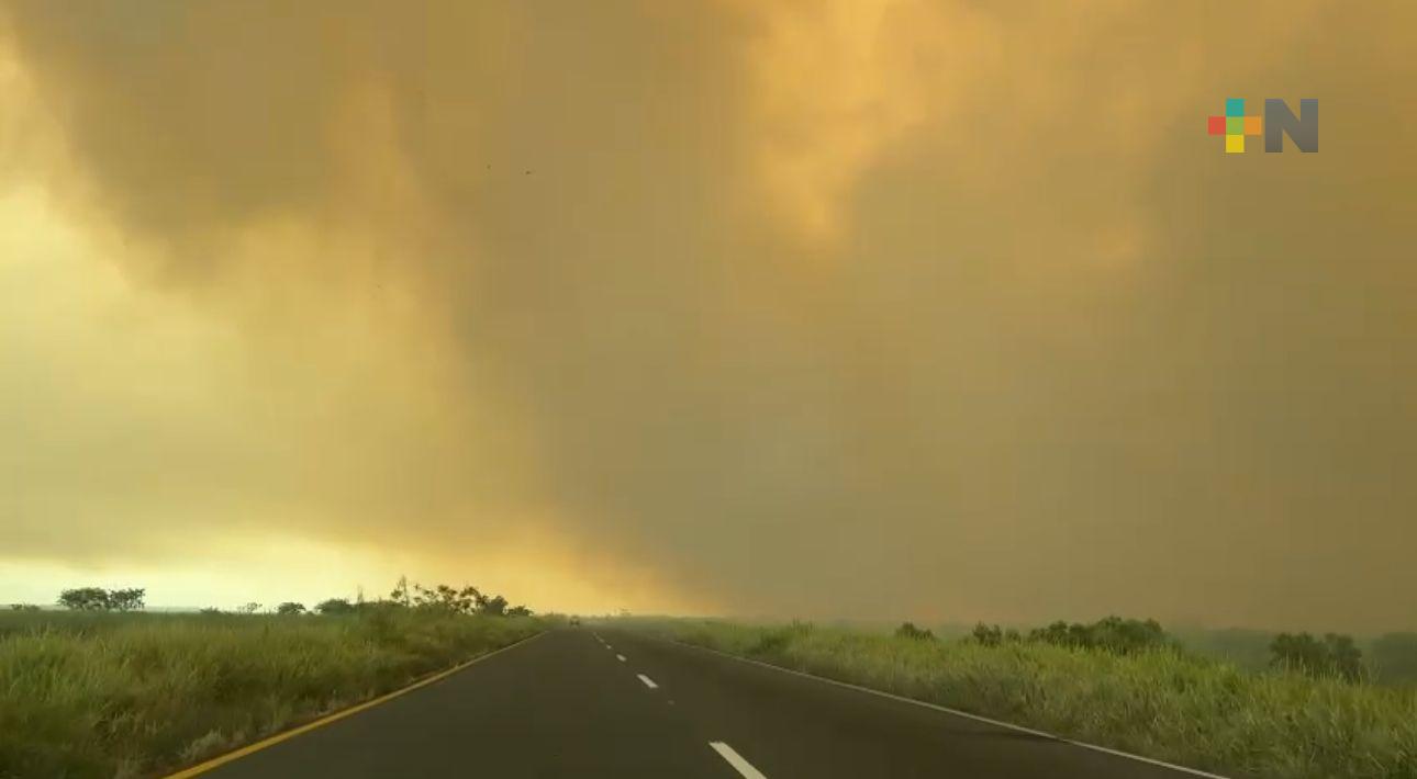 Se produce incendio en zona de pantanos cerca de Coatza; PC controla situación