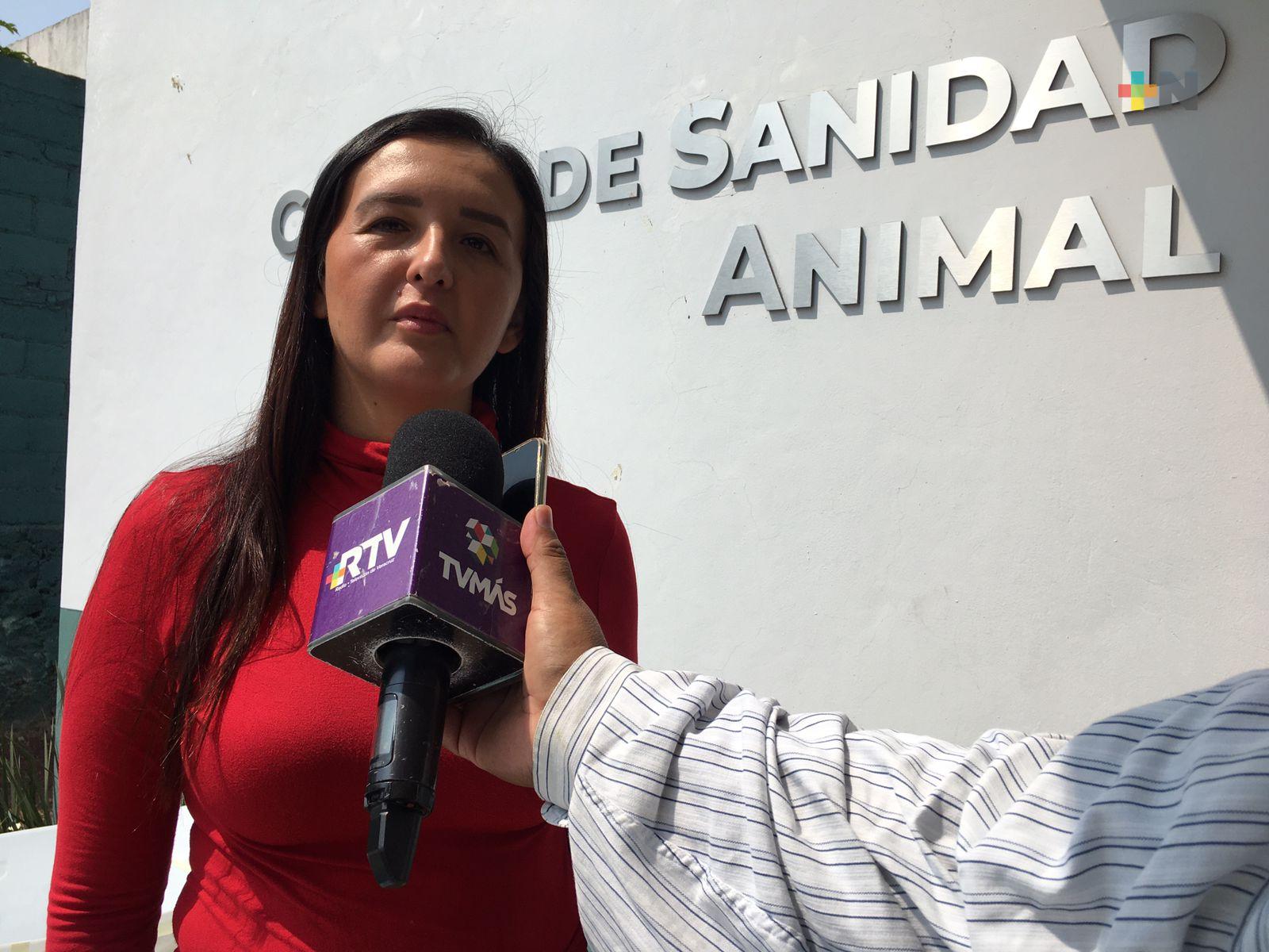Continúa vacunación de mascotas contra rabia en municipio Emiliano Zapata