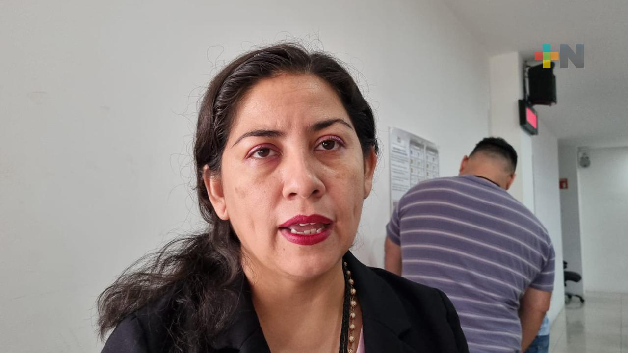 Partidos políticos deben estar en silencio para que ciudadanía razone su voto: INE