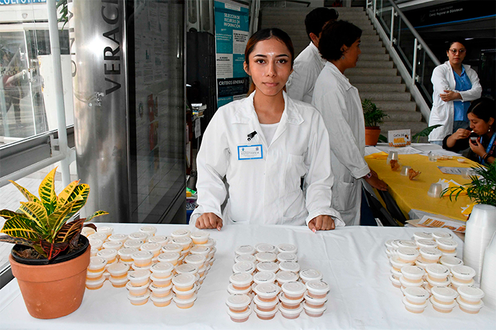 Cambio climático afecta producción de miel: estudiante UV