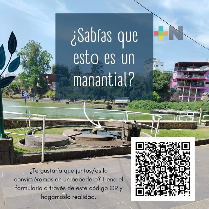 Ecologistas intentan rescatar manantial en Xalapa para consumo humano